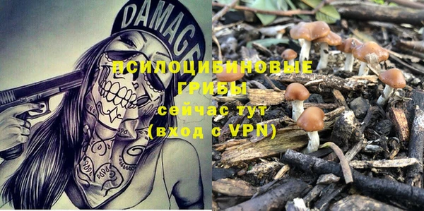 гидропоника Бронницы