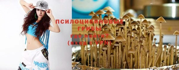 дмт Бугульма