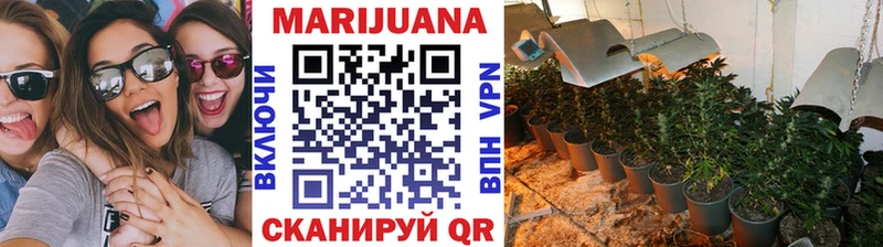 Конопля White Widow  купить наркотик  Игра 